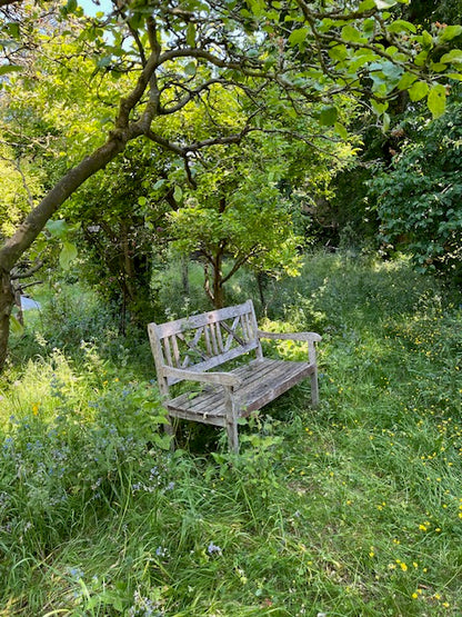 The Print Garden - a One-Day creative Printmaking Retreat  - Thursday 12 June 2025