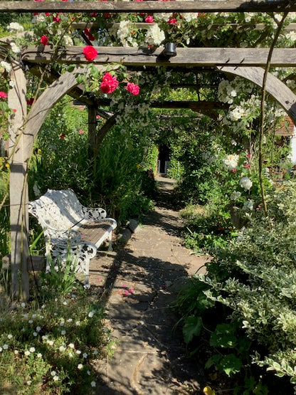 The Print Garden - a One-Day creative Printmaking Retreat  - Thursday 12 June 2025