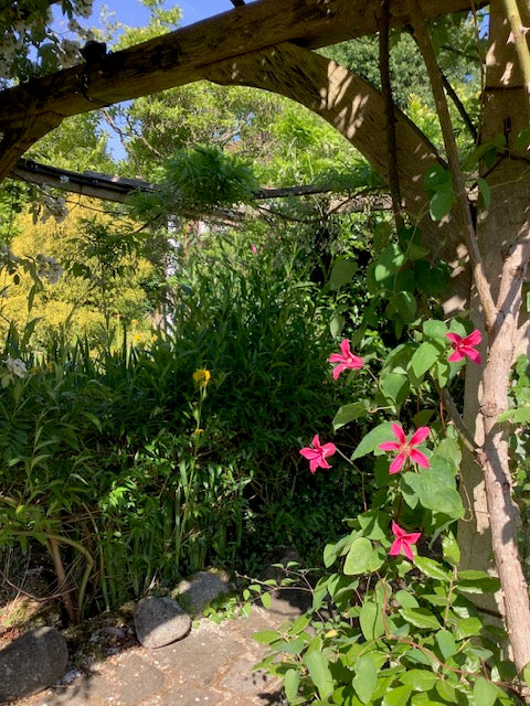 The Print Garden - a One-Day creative Printmaking Retreat  - Thursday 12 June 2025