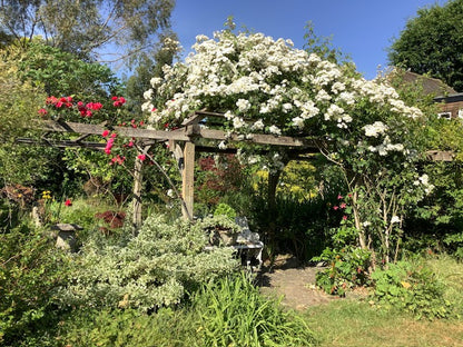 The Print Garden - a One-Day creative Printmaking Retreat  - Thursday 12 June 2025