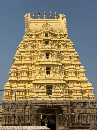 Textile Exploration to India with Lesley Pearce - January 2027    Deposit: £150 Total Cost: £1,400