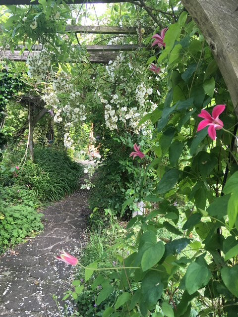 The Print Garden - a One-Day creative Printmaking Retreat  - Thursday 12 June 2025