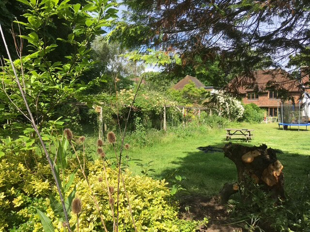 The Print Garden - a One-Day creative Printmaking Retreat  - Thursday 12 June 2025