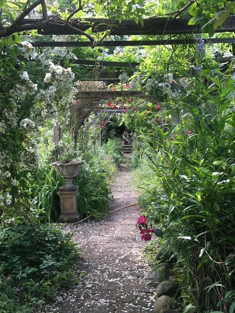The Print Garden - a One-Day creative Printmaking Retreat  - Thursday 12 June 2025