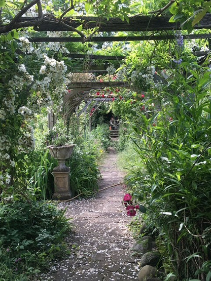 The Print Garden - a One-Day creative Printmaking Retreat  - Thursday 12 June 2025