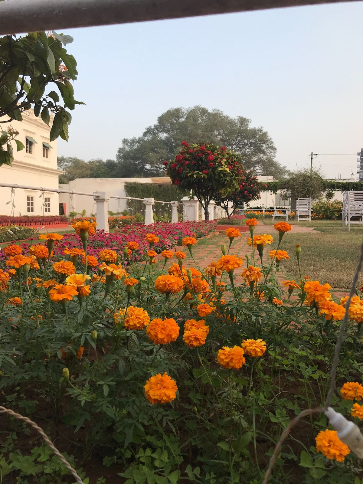 Textile Exploration to India with Lesley Pearce - January 2026     Deposit: £120/$250 NZD Total Cost: £1200/$2500 NZD