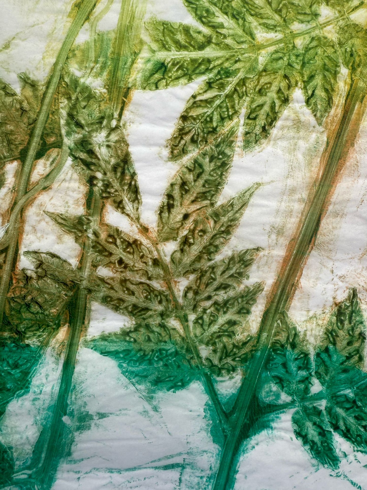 The Print Garden - a One-Day creative Printmaking Retreat  - Thursday 12 June 2025