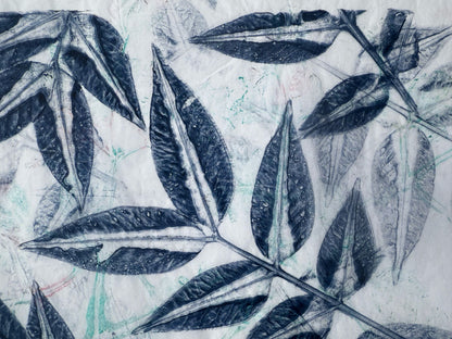 The Print Garden - a One-Day creative Printmaking Retreat  - Thursday 12 June 2025