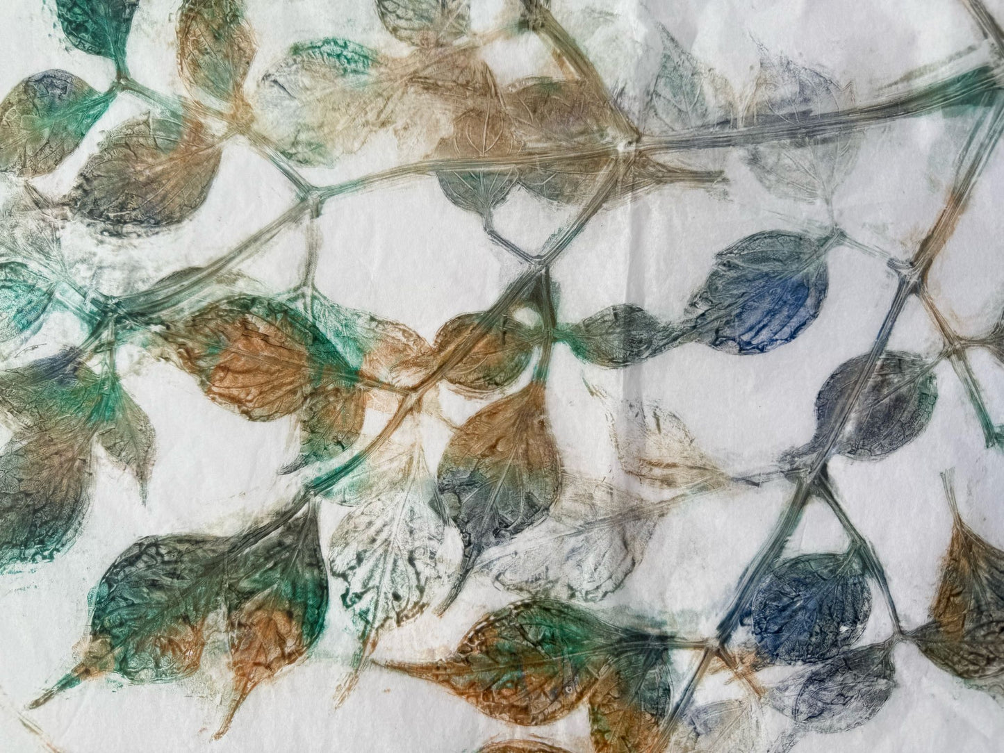 The Print Garden - a One-Day creative Printmaking Retreat  - Thursday 12 June 2025