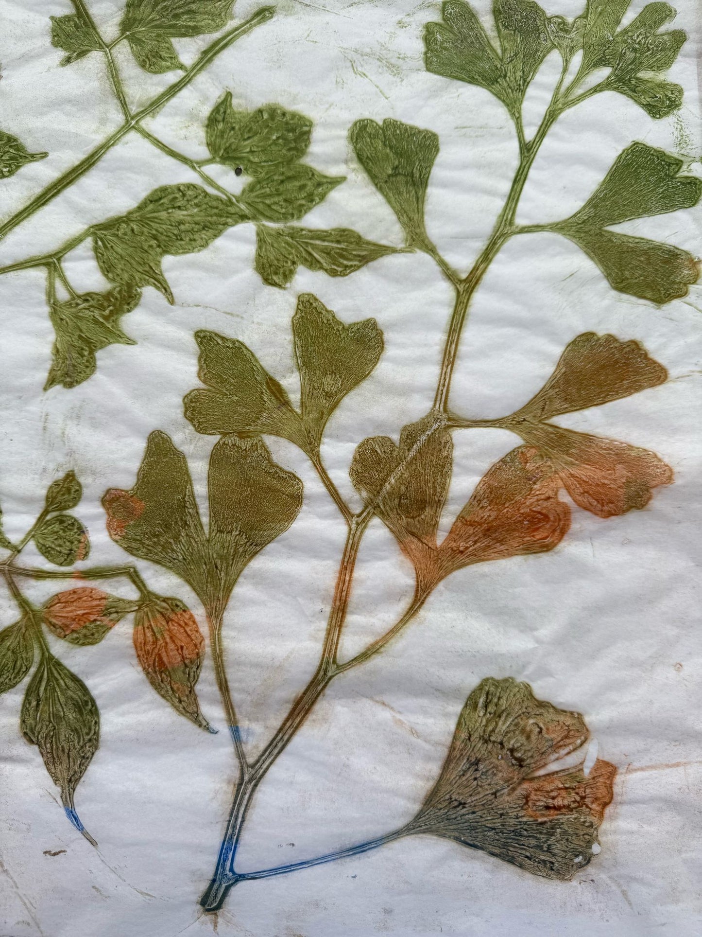 The Print Garden - a One-Day creative Printmaking Retreat  - Thursday 12 June 2025