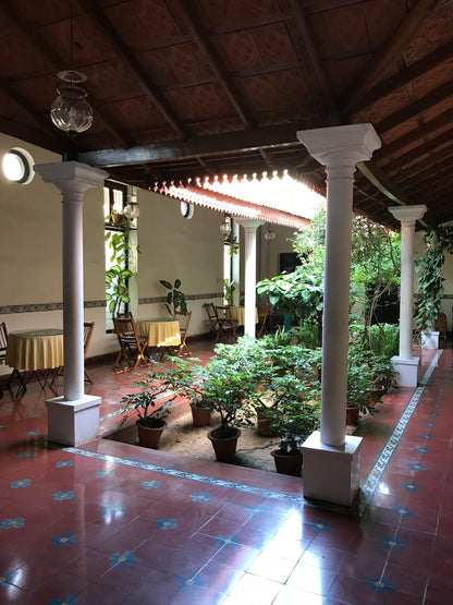 Textile Exploration to India with Lesley Pearce - January 2026     Deposit: £120/$250 NZD Total Cost: £1200/$2500 NZD
